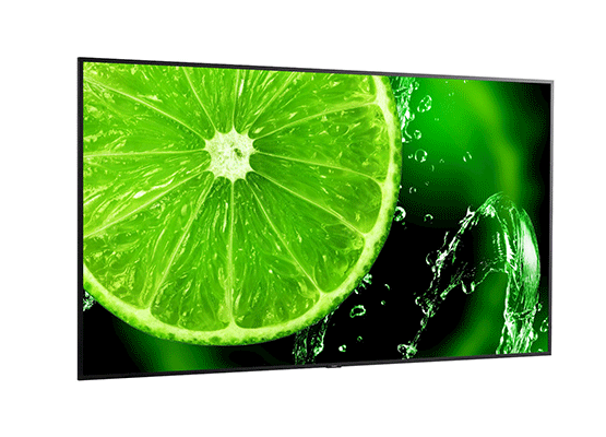 NEC Large E Series Displays
