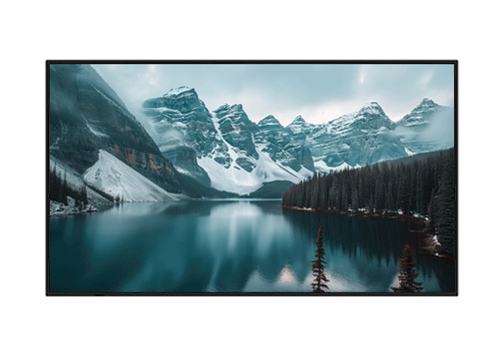 PN-P Series UHD Professional Displays