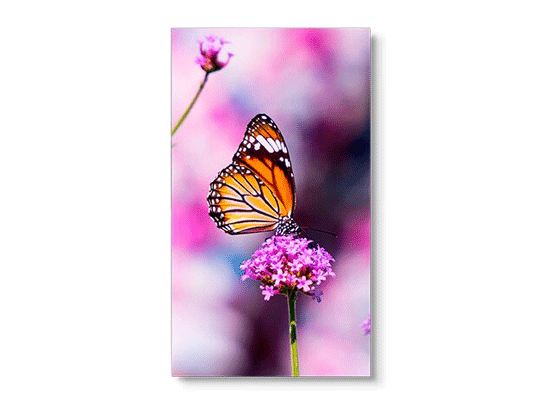 UN552VS Series Video Wall Display