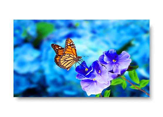 UN552VS Series Video Wall Display