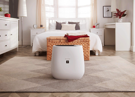 Compact Plasmacluster Air Purifier - FPJ30JB