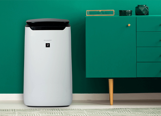 Comfort Plasmacluster Air Purifier - FXJ80JW