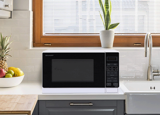 20L Compact 750W Microwave